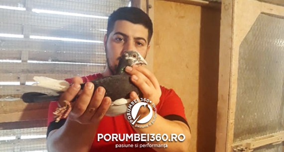Vasile Găvan&Nicolae, locul 1 la Demifond+Fond Uman - Ucraina din 12.371 porumbei lansați