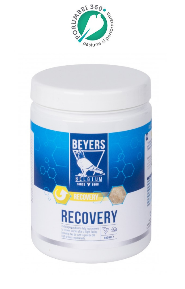 RECOVERY PLUS 600gr